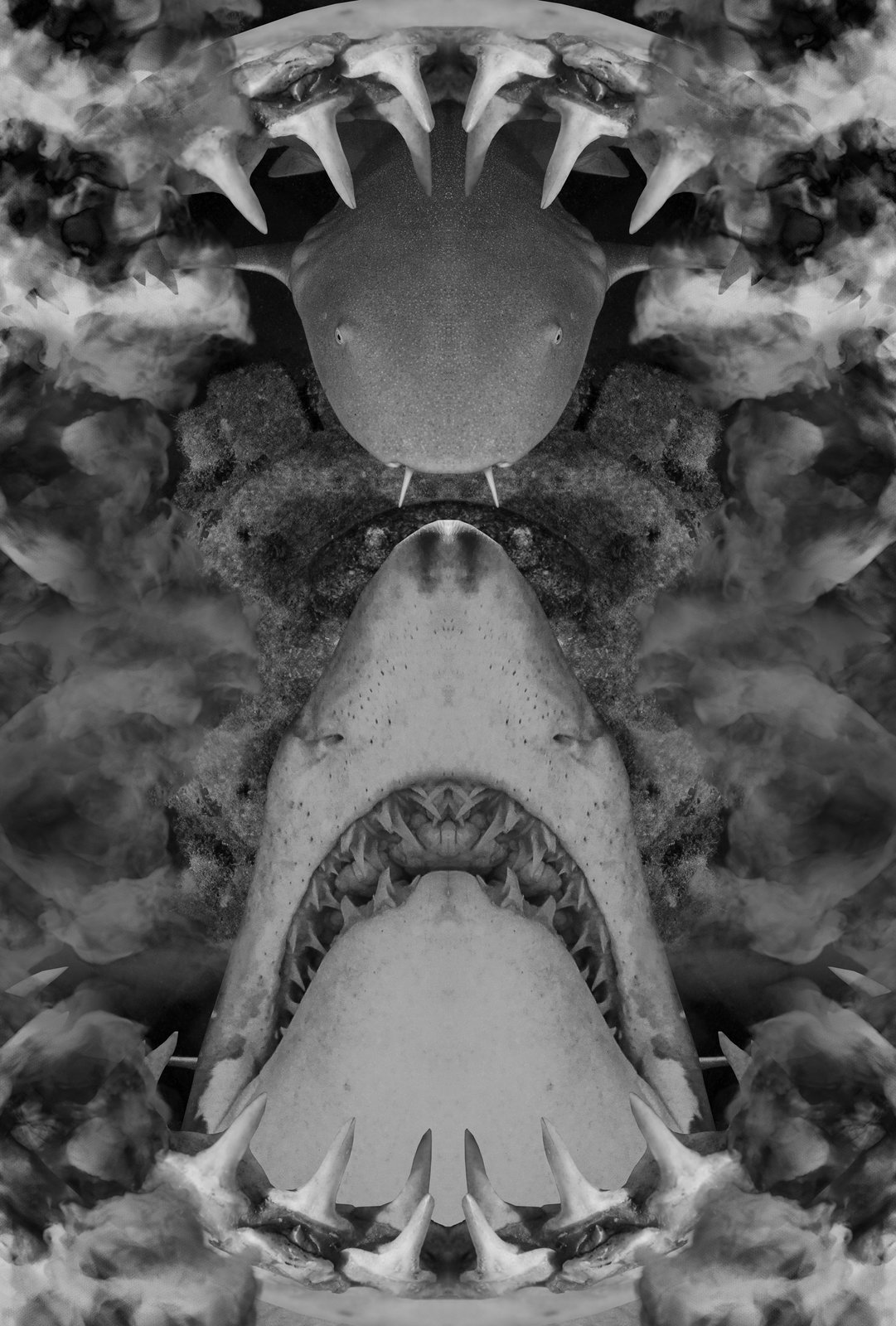 Creatures of Liminal Space | Jackanapes Press